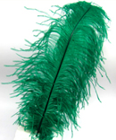 Straussenfeder 30cm grün